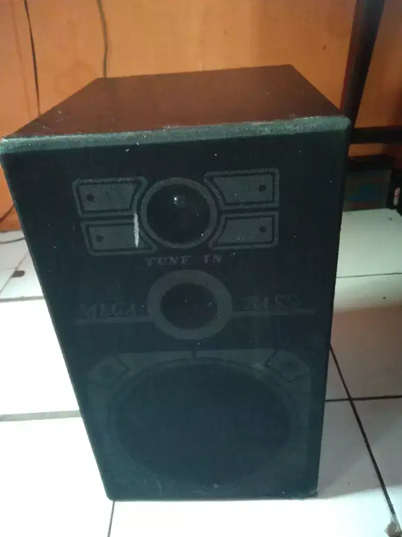 Speaker satu box TENS