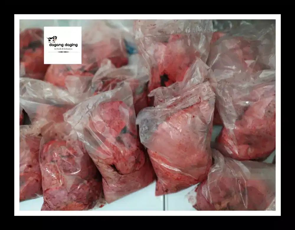 Supplier Paru / supplier daging paru