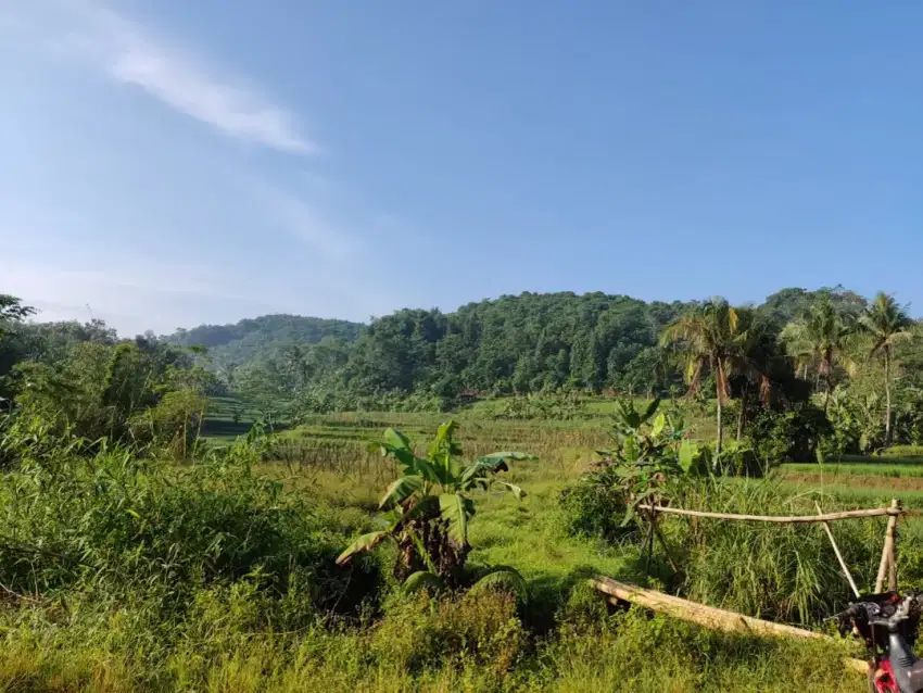 Tanah darat dan sawah sumber air 3titik