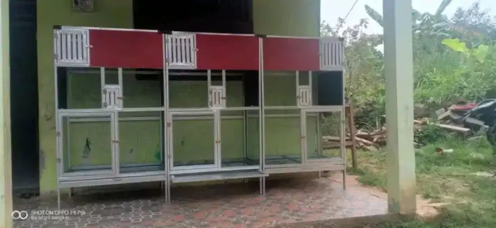 Kndang ternak 3 kamar
