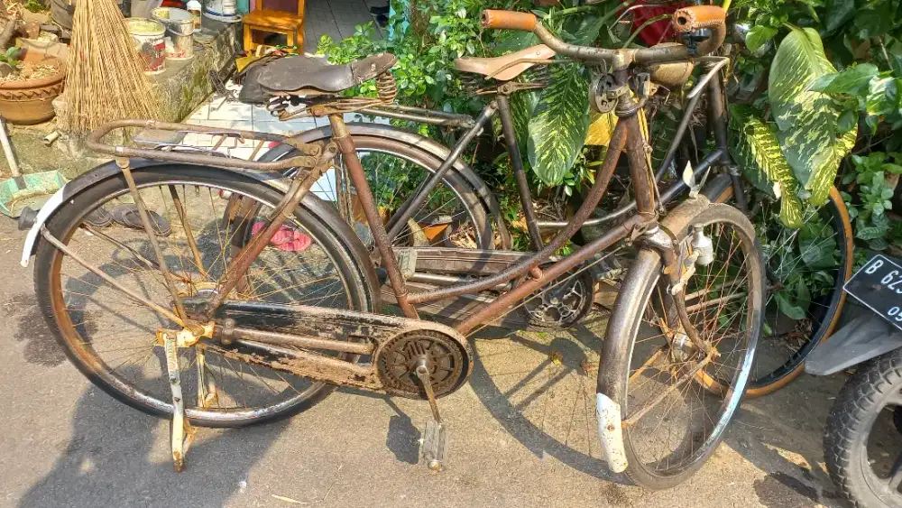 Sepeda onthel dames langka tidak nawar free bonus ontel wandu jepangan