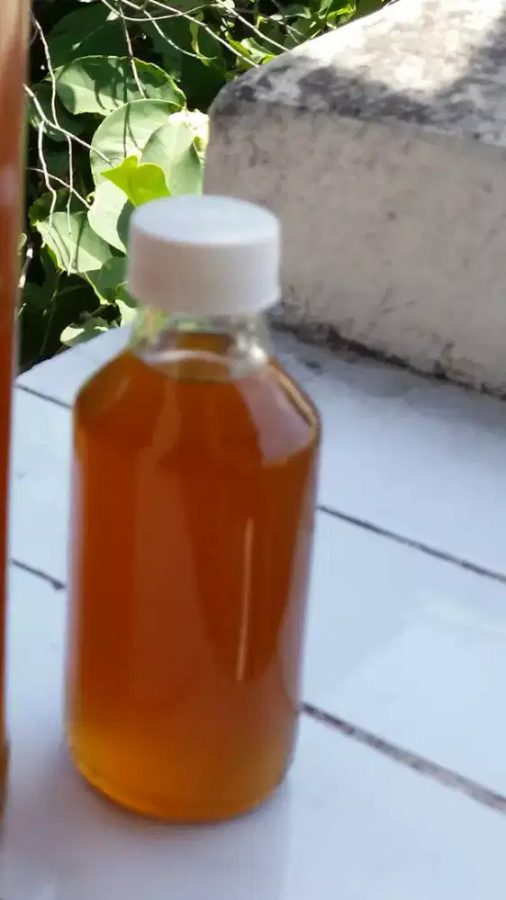 PROMO Madu Murni Lebah Lokal/Apis Cerana (Garansi) Uji Sebelum Membeli