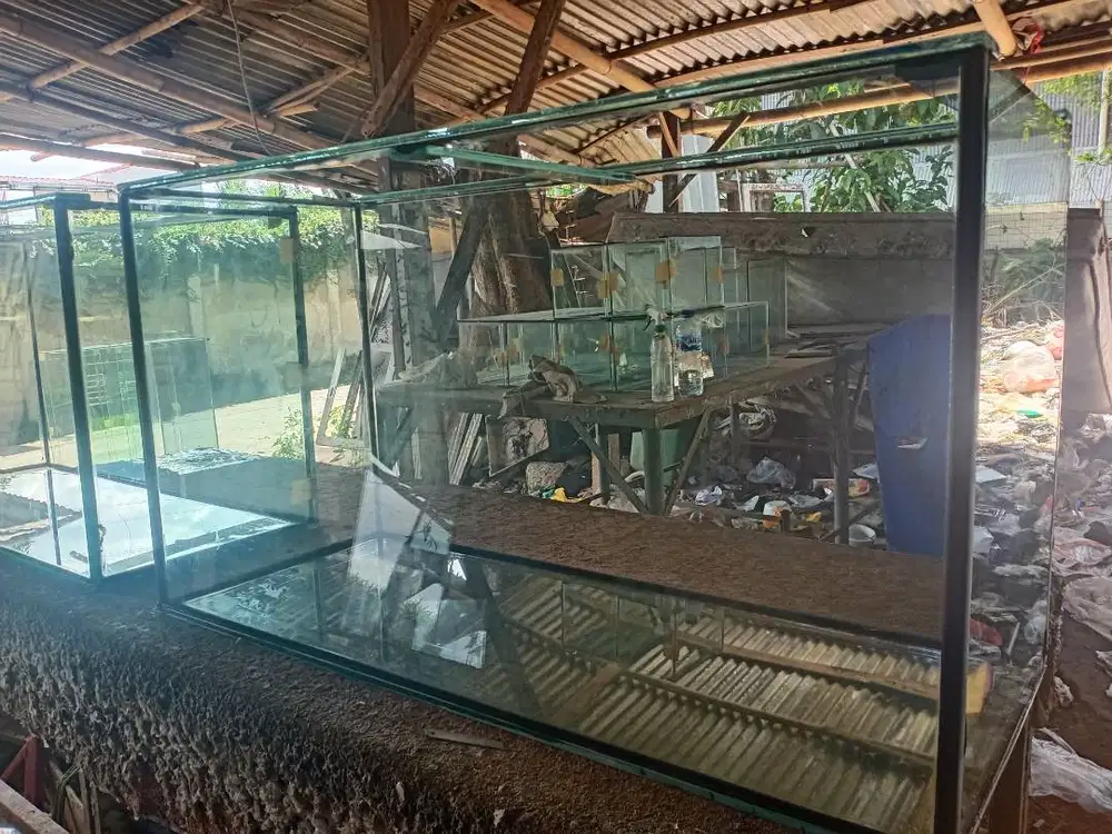 Aquarium 150x50x50 kaca 10mili