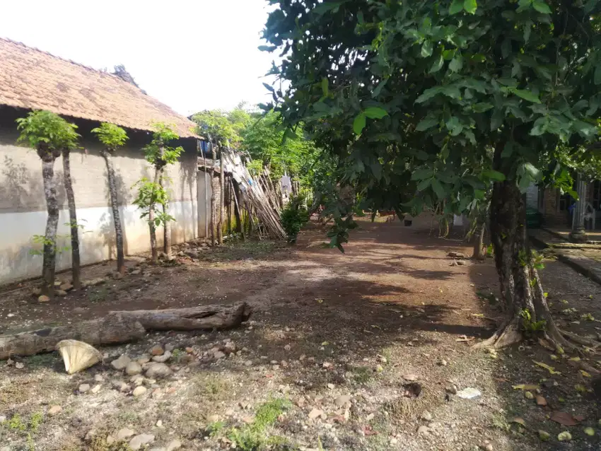 DIJUAL TANAH KAMPUNG/PEKARANGAN