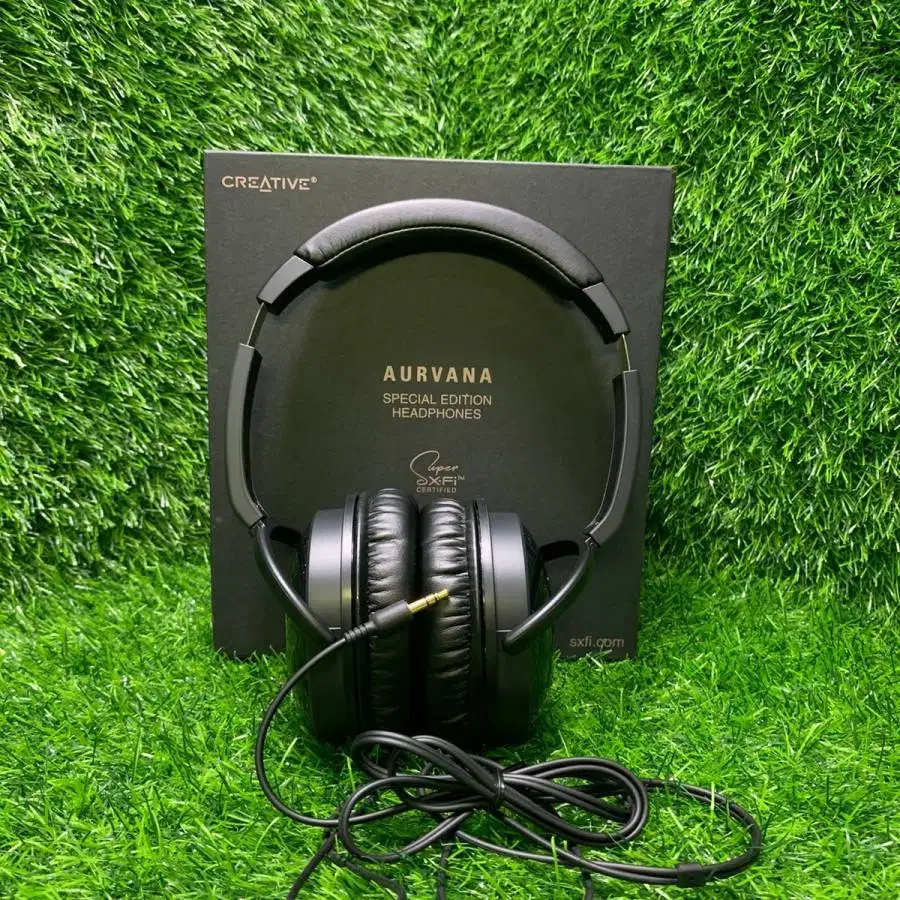 Aurvana se online headphones