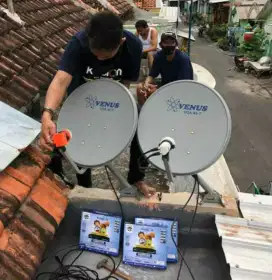 Antena tanaka laris manis