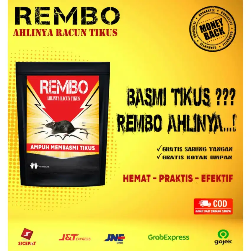 Rembo racun tikus ampuh mati kering