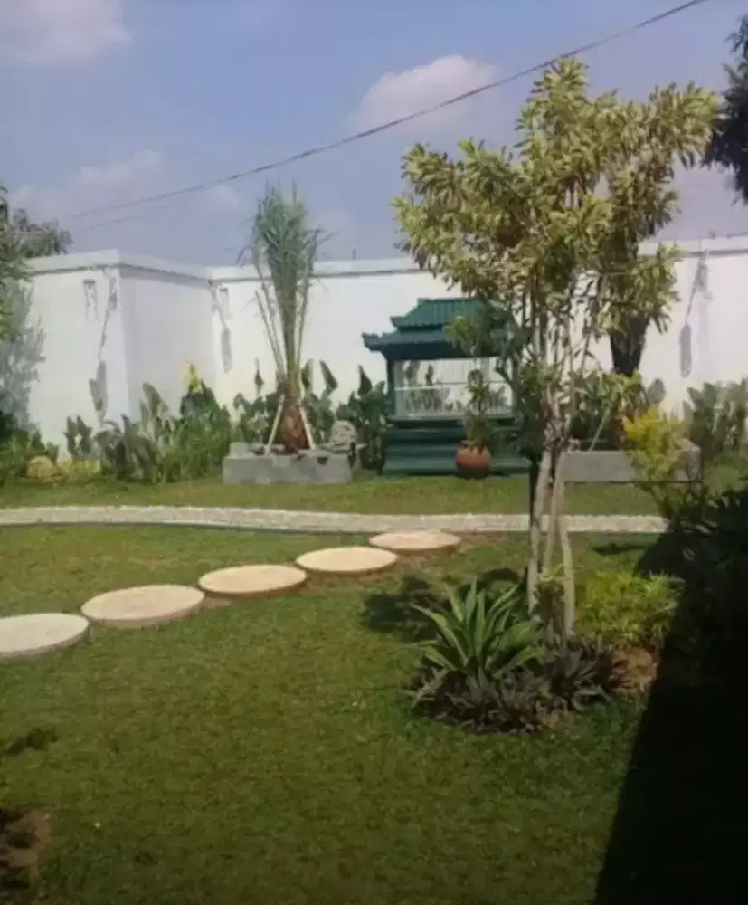 tukang rumput gajah mini