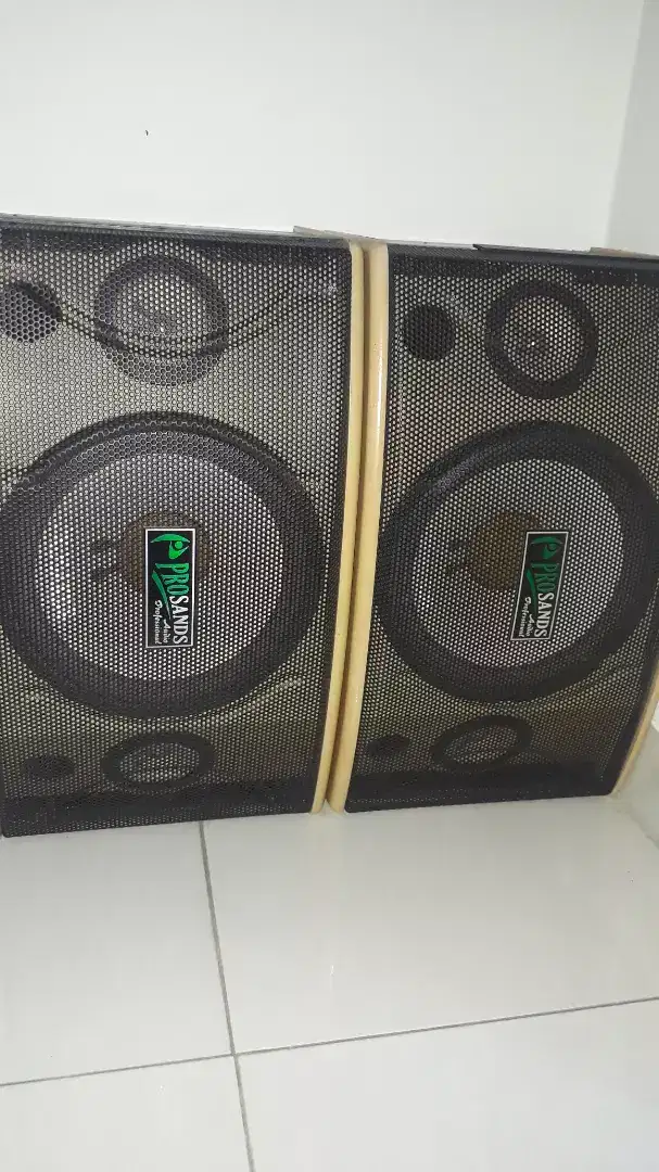 Digital Stereo Echo Amplifier