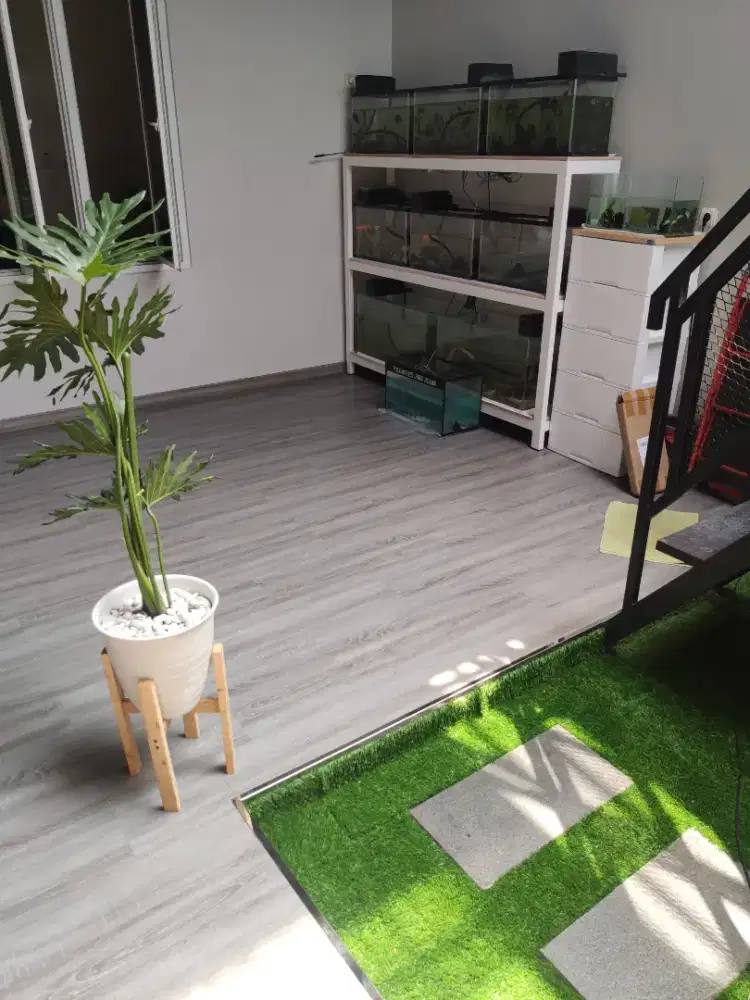 Lantai SPC parket forta banyak pilihan warna