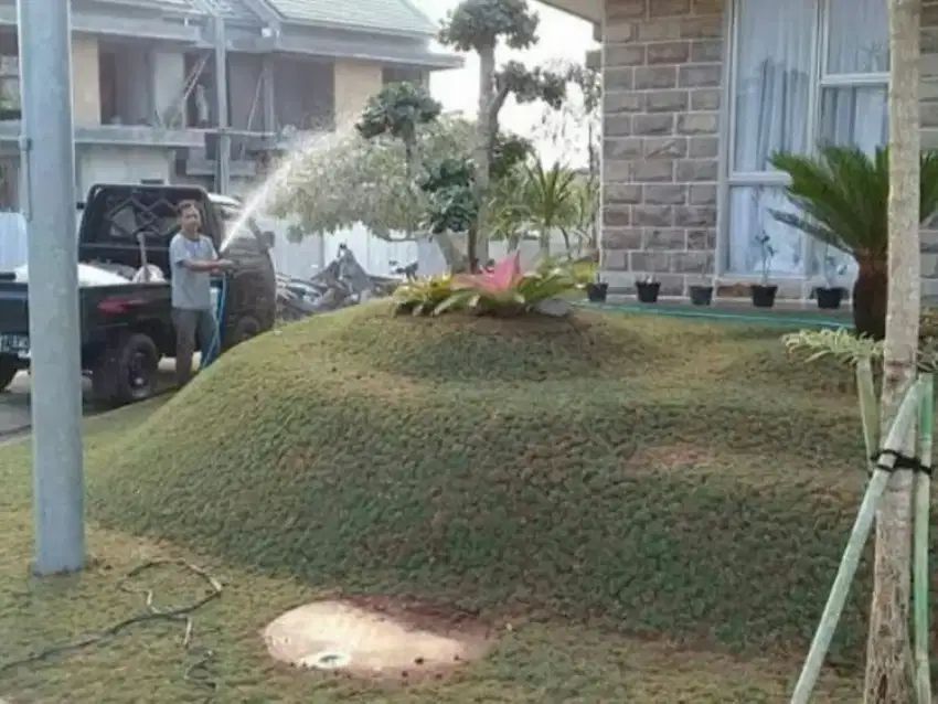 Tukang rumput Cibubur/tukang buat taman di Cibubur