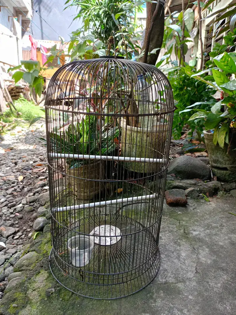 Sangkar burung (besi kawat)