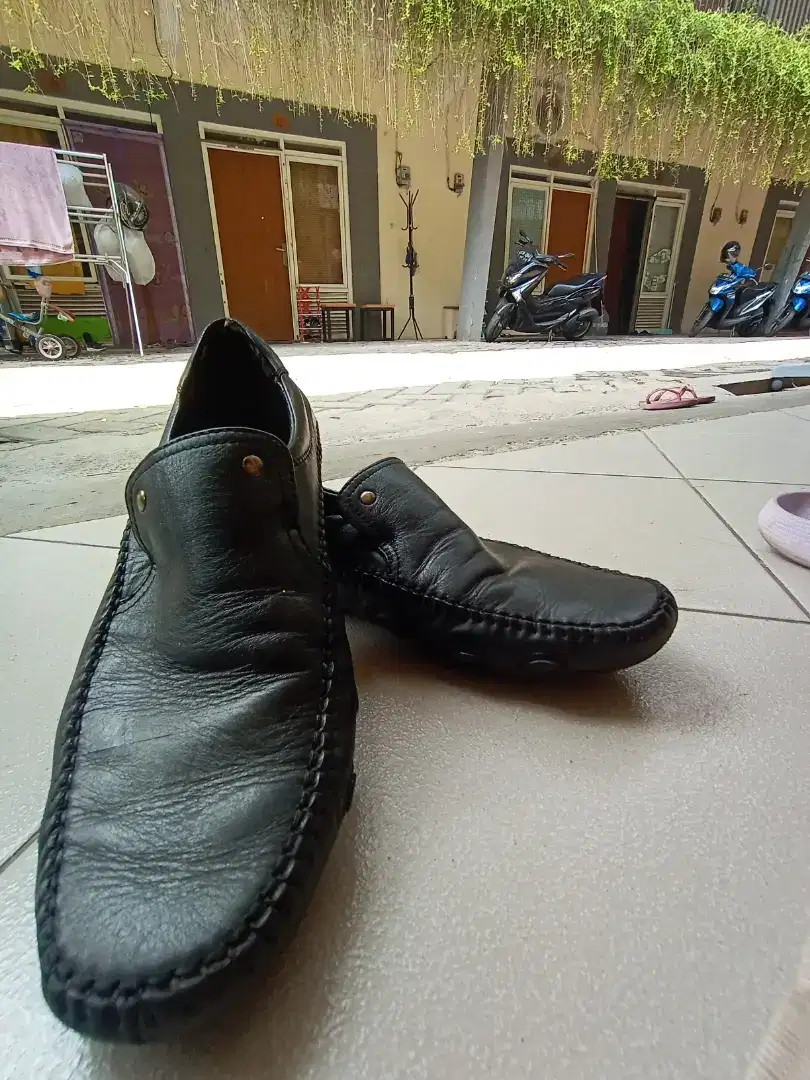 Sepatu pria Playboy ORI