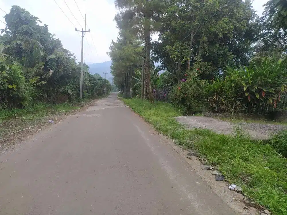 Tanah Ciapus utk villa