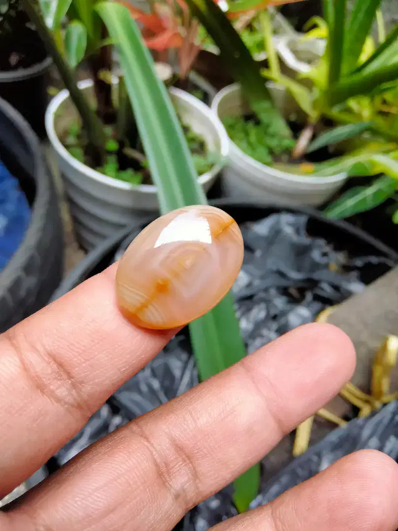 Natural kendit combong Rubi safir bacan emerald perak