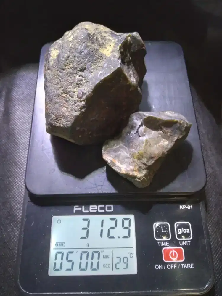 Bahan Bacan Doko Coklat Kembang Rough Cincau