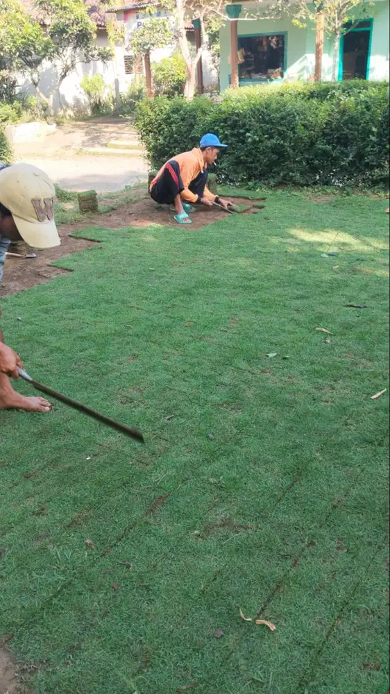 Harga Permeter Rumput Golf Kebumen