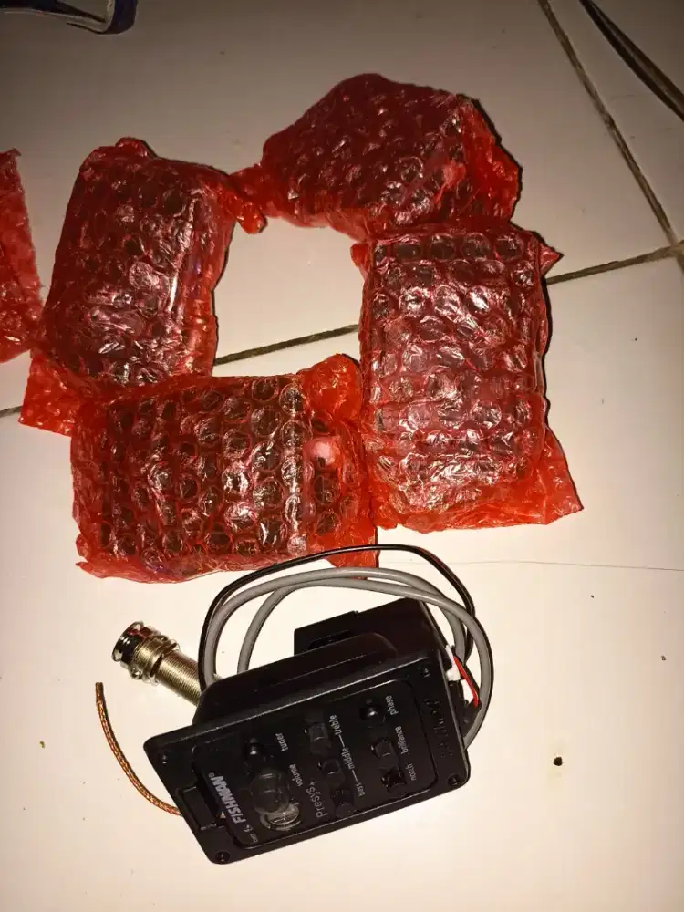 Preamp akustik Fishman