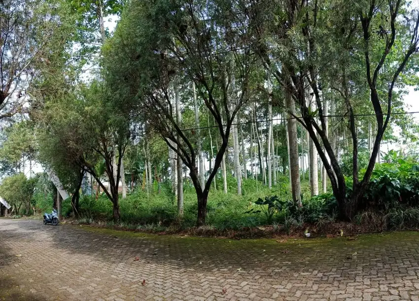 TURUN HARGA Tanah Kebun Jabon lokasi bagusEÈ di Puncak