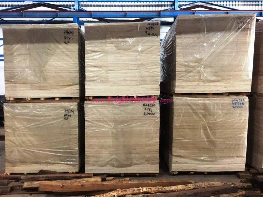 tebal 3mm 4mm 5mm 8mm 9mm 12mm 15mm 18mm Jual Triplek Plywood Surabaya