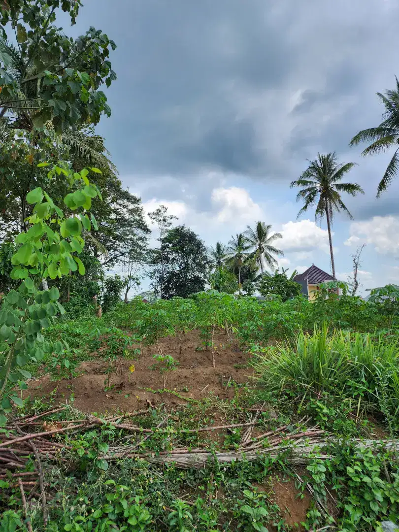 Dijual tanah di buring kedungkandang belakang GOR Ken Arok.