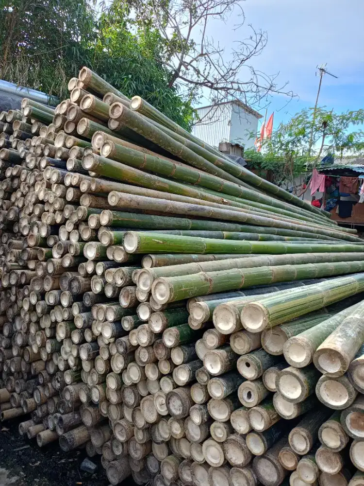 Jual bambu steger dan kayu proyek