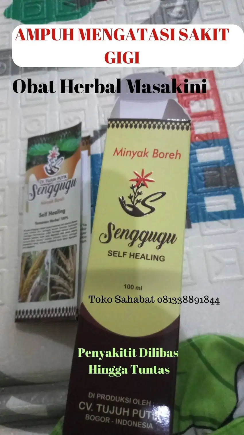 Minyak Senggugu Herbal untuk Biduran paling Manjur bisa CoD