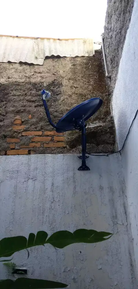 Tanpa Bayar Bulanan Nex Parabola Bisa Di isi Voucher Utk Liga Inggris