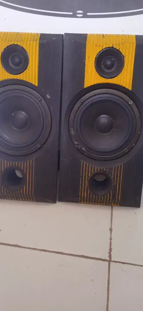 Driver speaker B&W