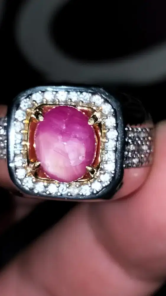 Star Ruby Belang Koi No Heat