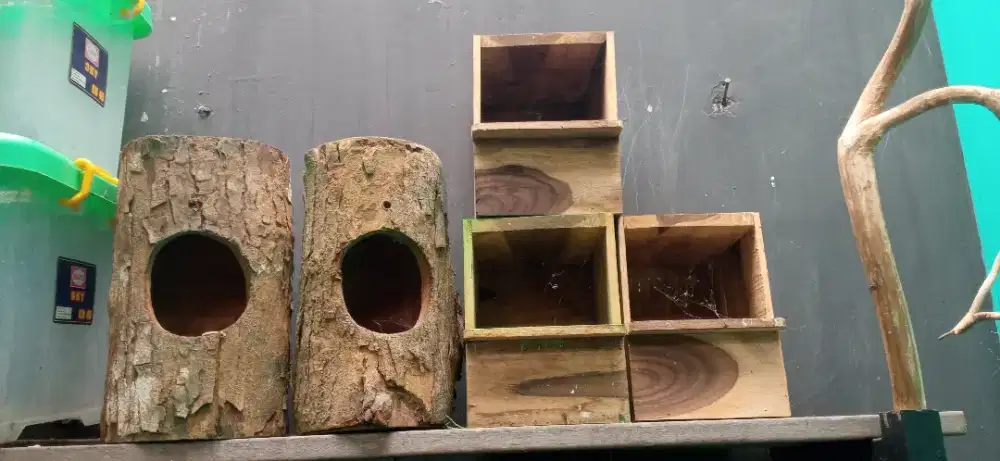 Glodok Tempat bersarang burung