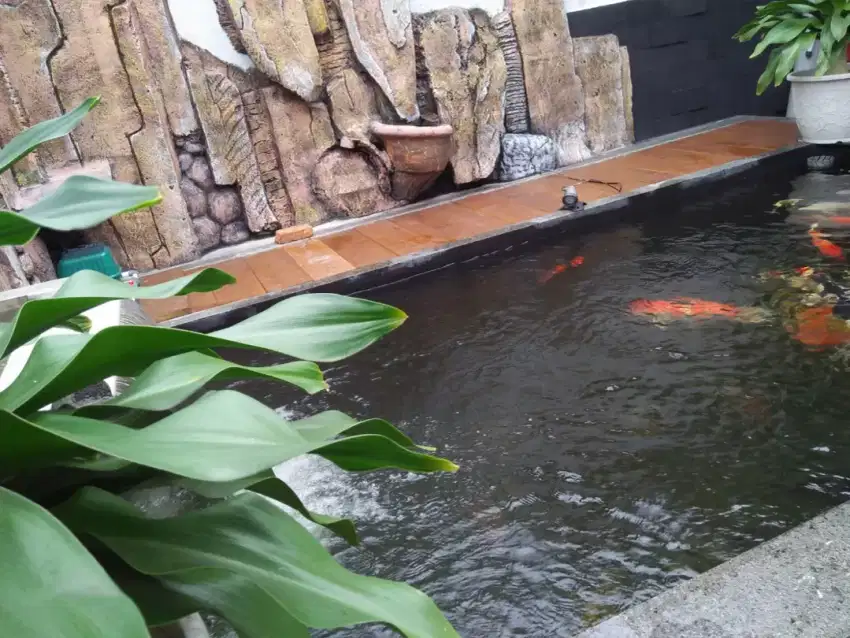 pembuatan kolam ikan