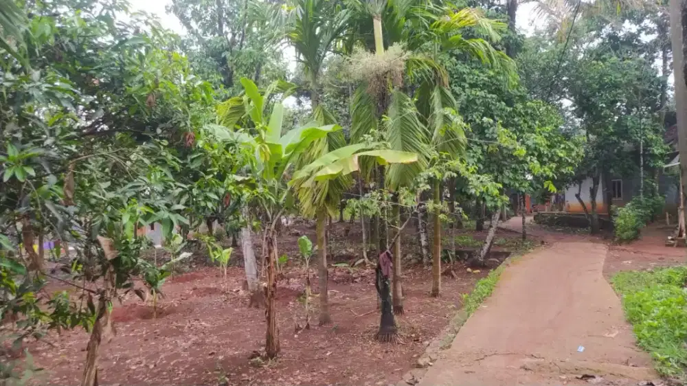 DIJUAL CEPAT B.U. PINGGIR DANAU SETU TUNGGILIS