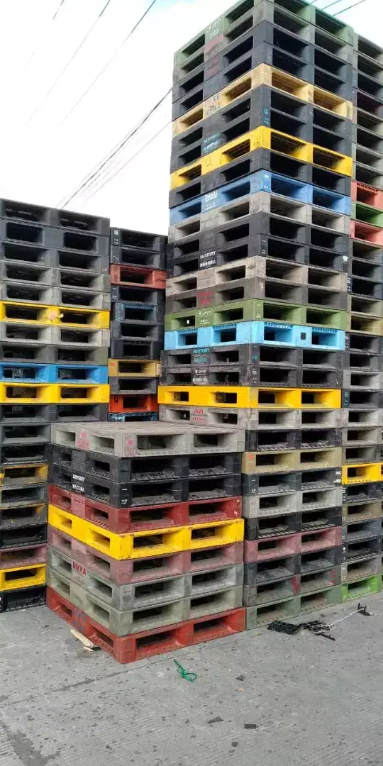 pallet plastik palet plastik cv resmi