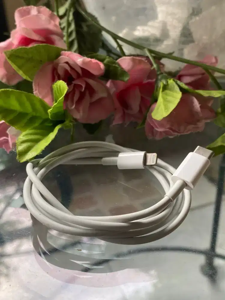 Kabel iphone 11pro original second cabutan hp 100% ori