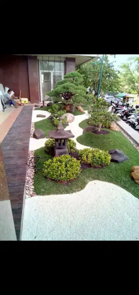 Menjual rumput hias Dan Tanaman