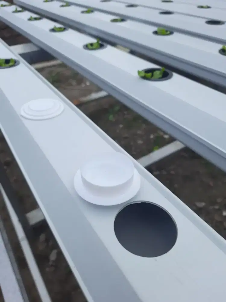 Penutup Lubang Talang dan Pipa PVC Hidroponik