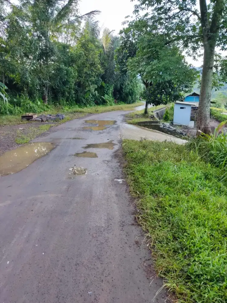 Sawah cocok untuk kolam deras
