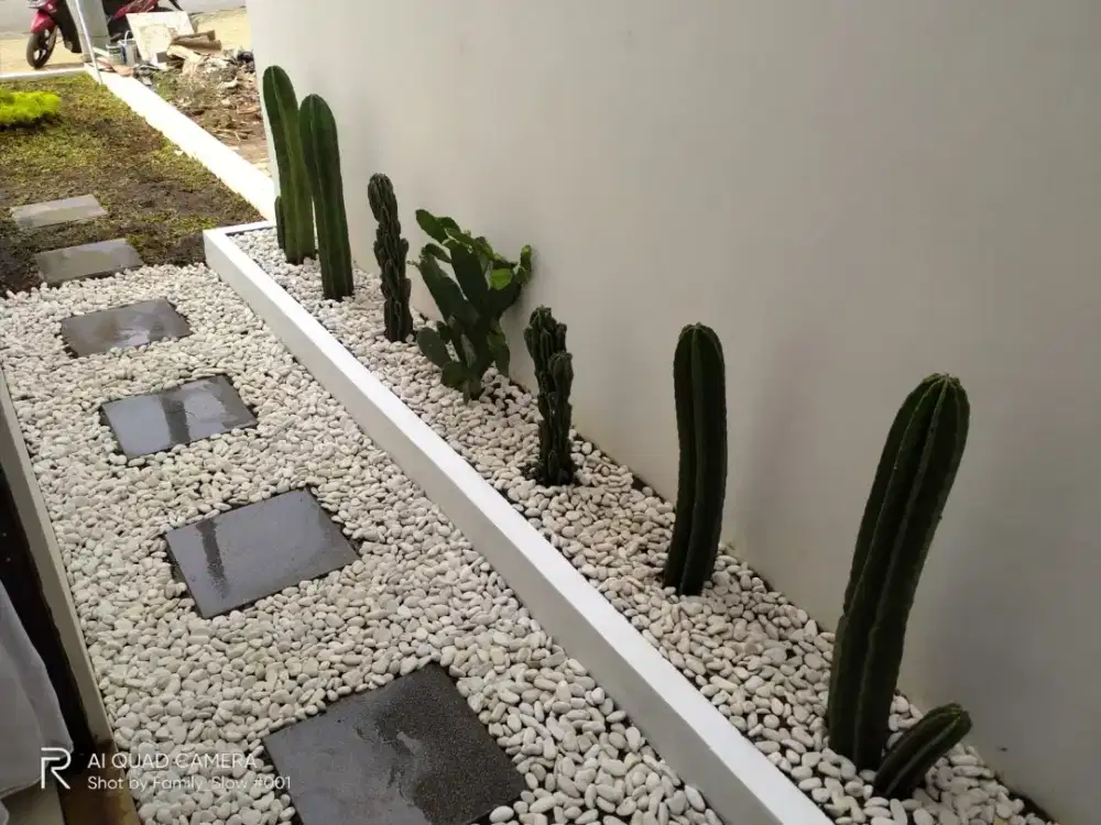 TAMAN MINIMALIS / PEMBUATAN TAMAN MINIMALIS