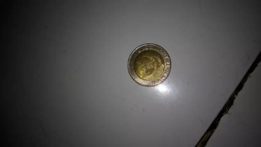Dijual aja koinan Rp,1000 kelapa sawit