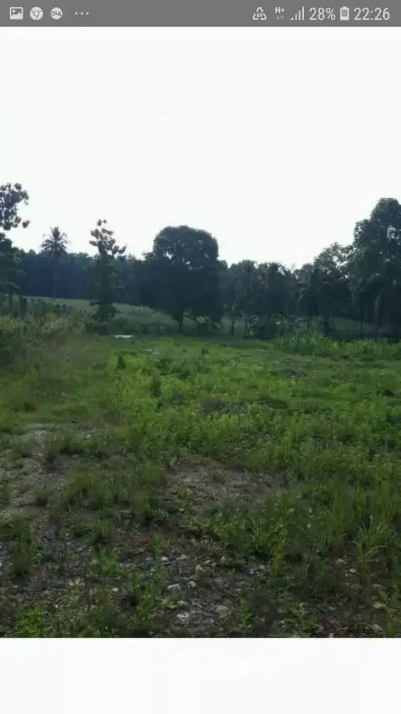 Jual Tanah pekarangan 14216m pinggir jalan strategis