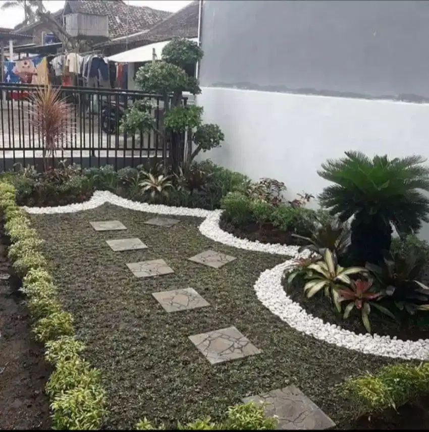 ready rumput gajah mini dan rumput jepang + pemasangan