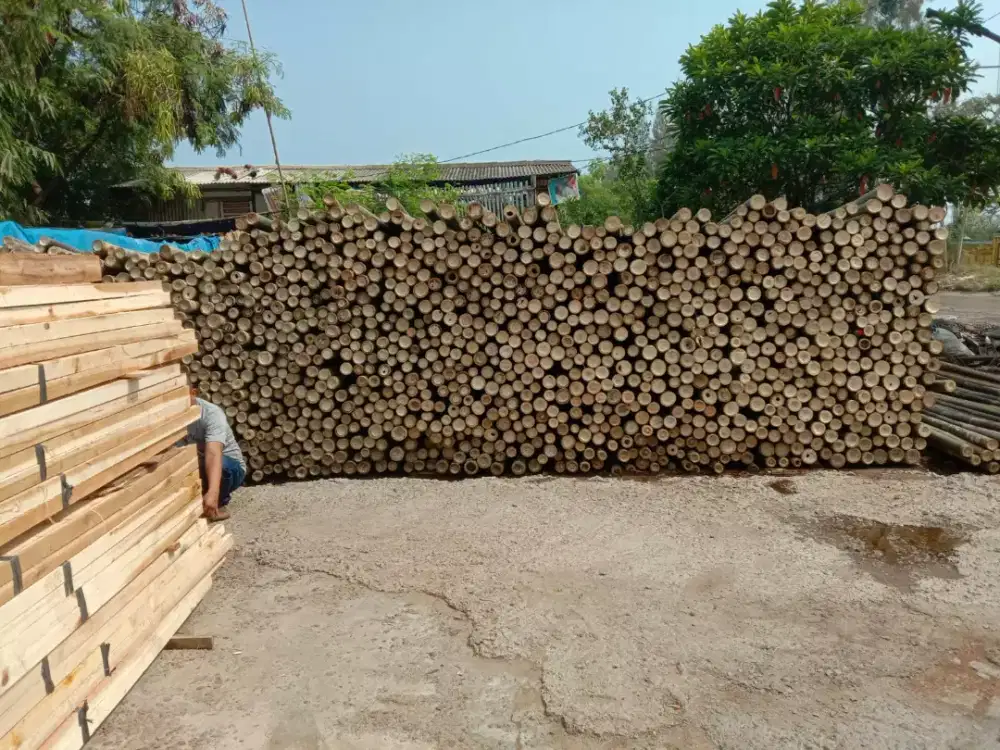 jual bambu steger8/9
