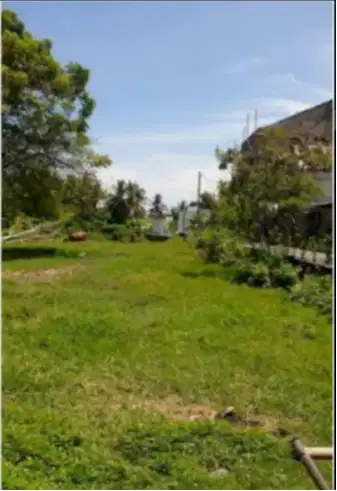 Tanah Dkt Pantai Pererenan