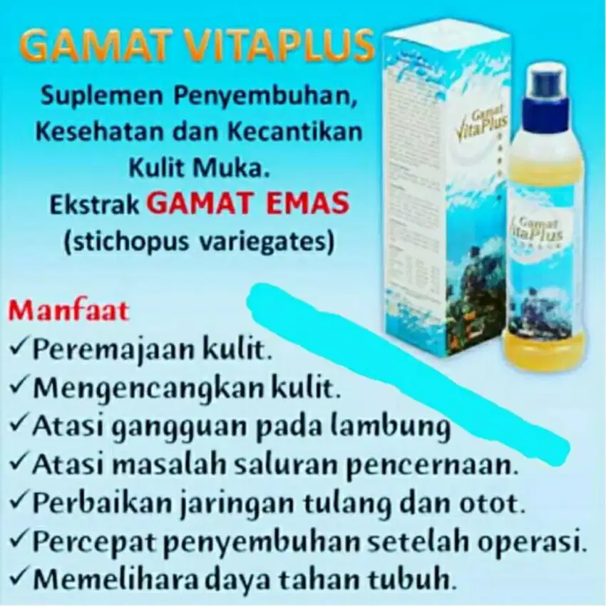 Suplemen Gamat Vitaplus Untuk Patah Tulang Diabetes Jantung Rematik