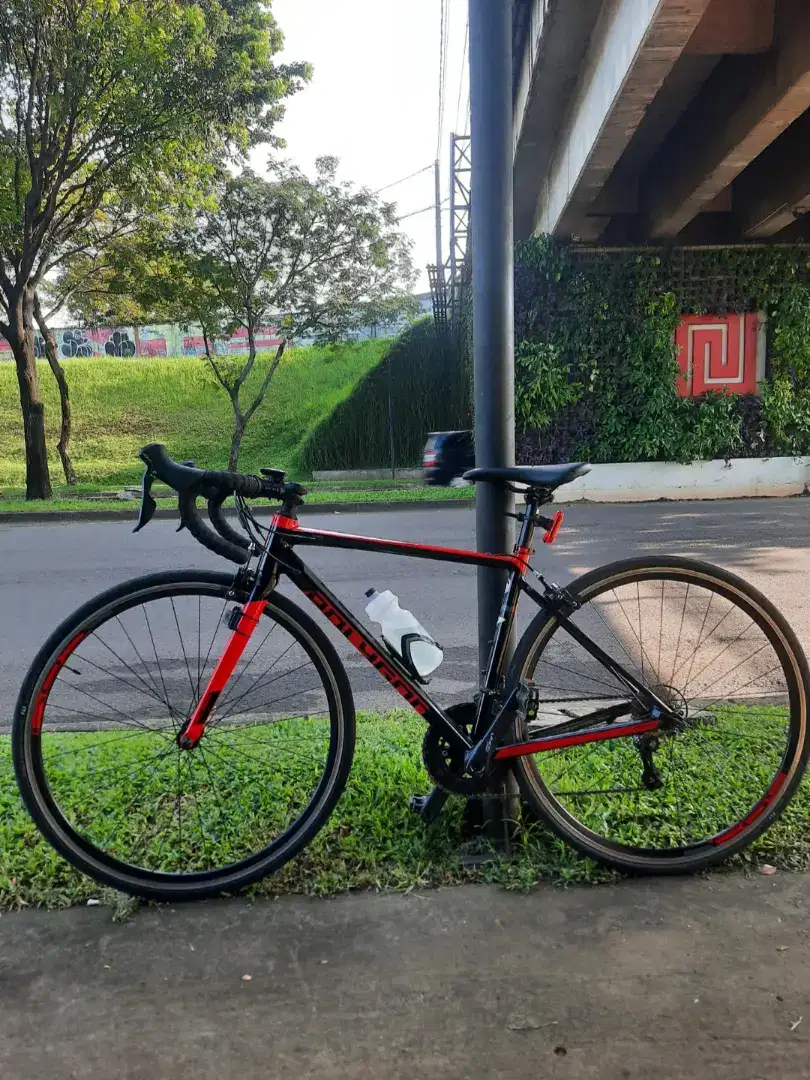 Roadbike - polygon strattos s3