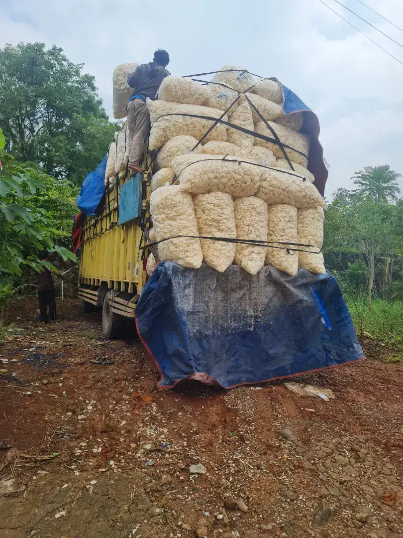 kerupuk palembang asli ikan.