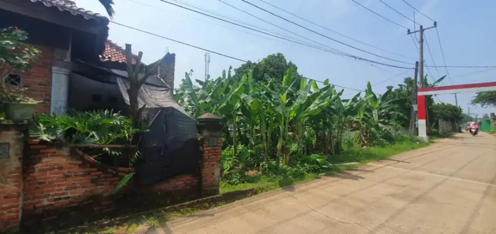 Tanah kosong, gunung sindur, bogor