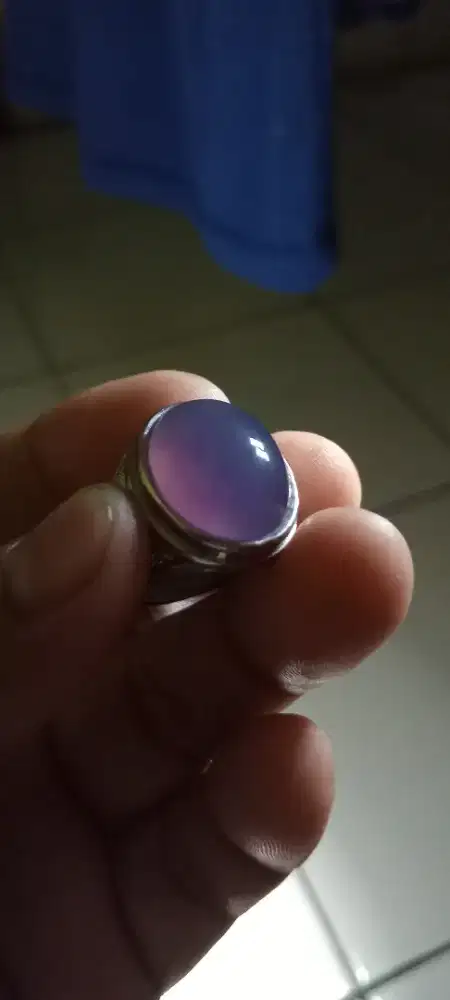 Lavender baturaja 20158