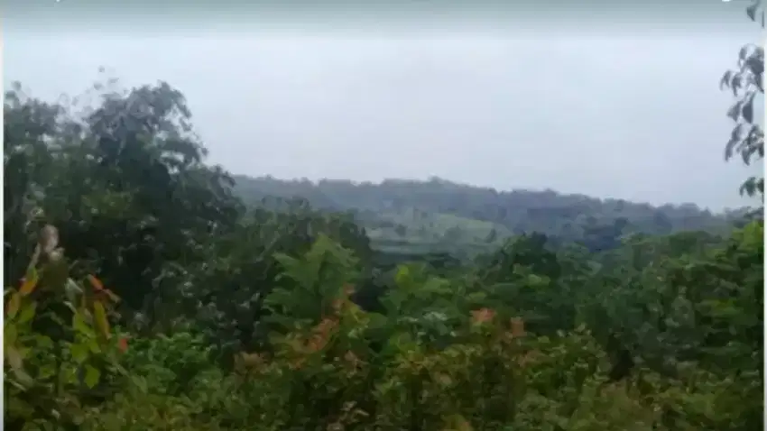 LAHAN MURAH 35 Ha dkt WANAYASA PURWAKARTA